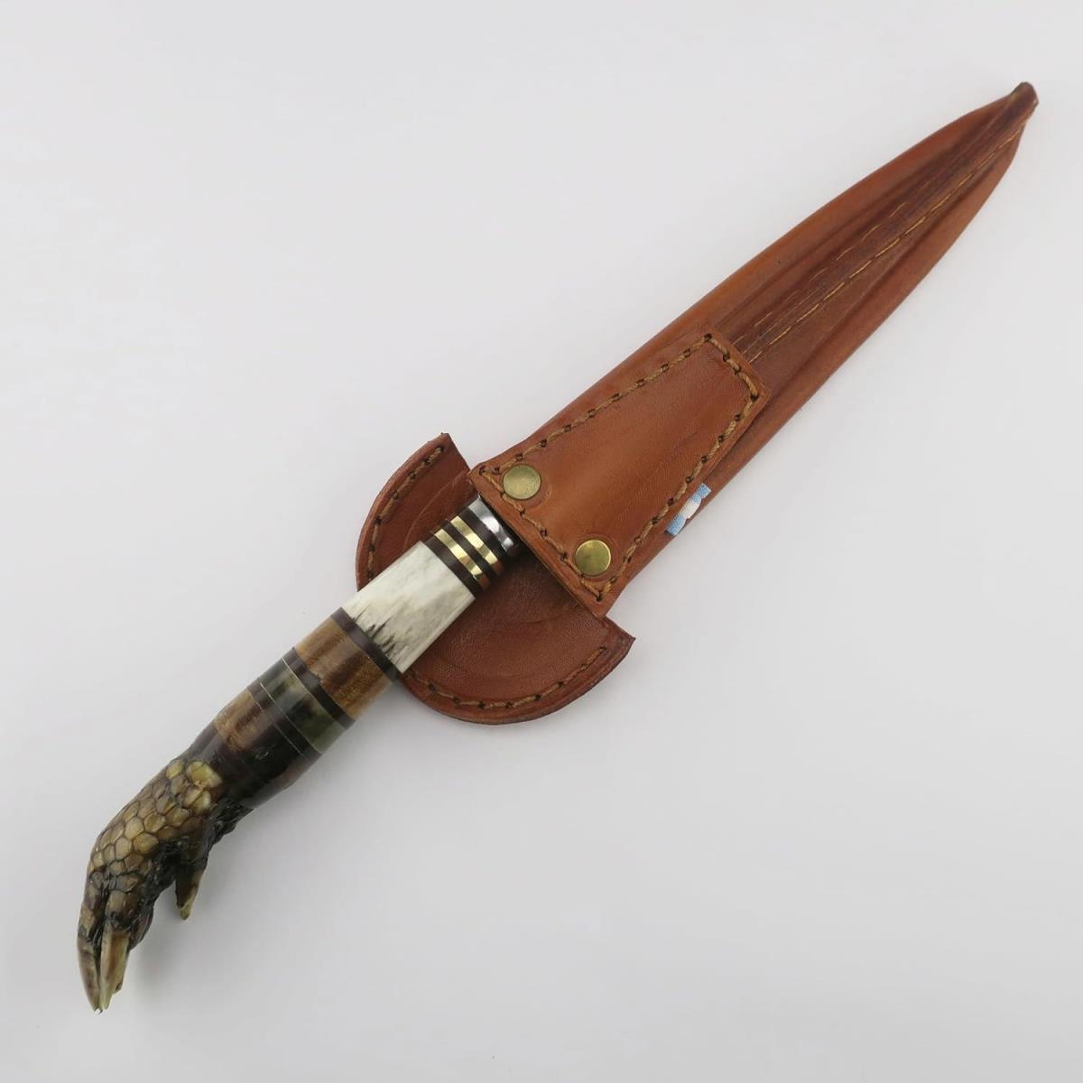 Exotic Armadillo claw handle knife made with stainless steel blade and decorative handle rings, complete with a brown leather sheath. Perfect for collectors or unique gifts.