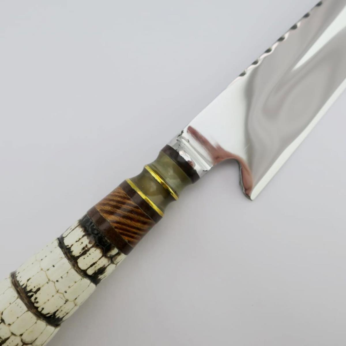 Artisanal Armadillo Tail Knife with Unique Handle, Made from Sections of Armadillo Tail, Wood, and a Cow Horn Accent, with a Polished Stainless Steel Blade and Serrated Spine 5.5 inches long.